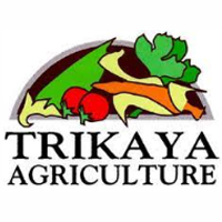 trikaya